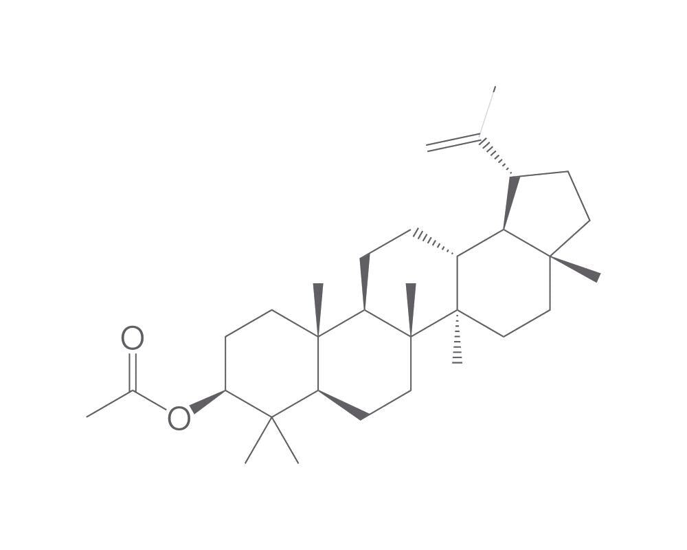 Lupeol acetate, min. 95 %, 2 mg - Luminix Health