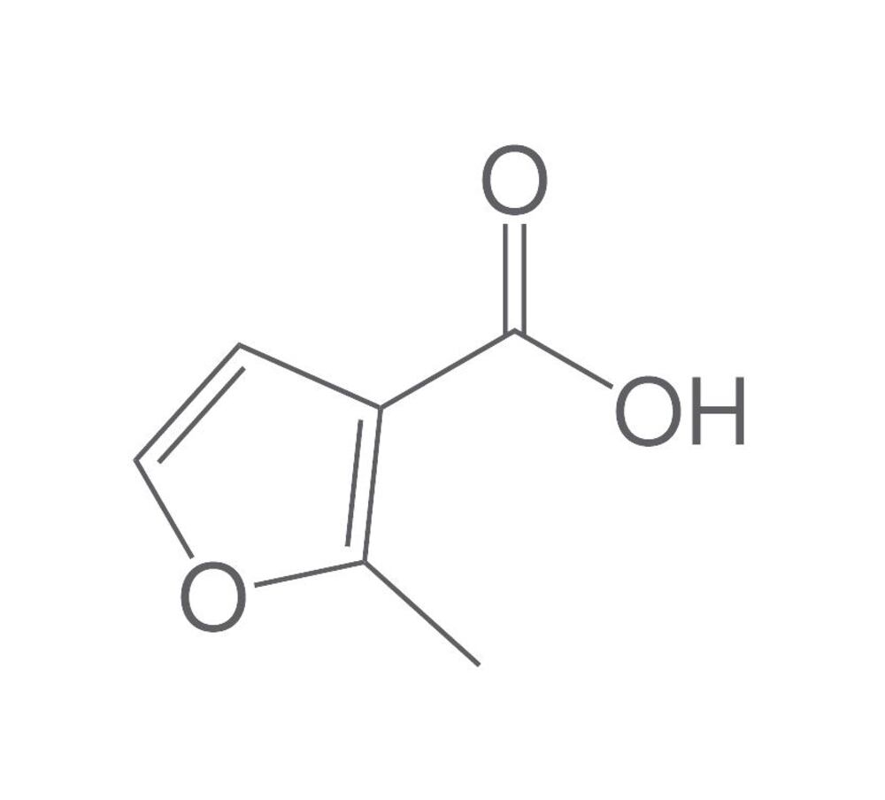 2-Methyl-3-furoic acid, min. 95 %, 25 g - Luminix Health