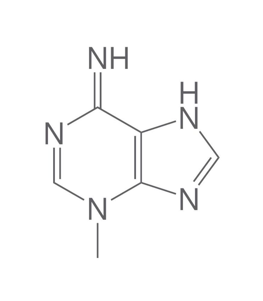 Image of 3-Methyladenine