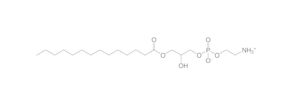 1-Myristoyl-sn-glycero-3-phosphoethanola, mine, 250 mg - Luminix Health