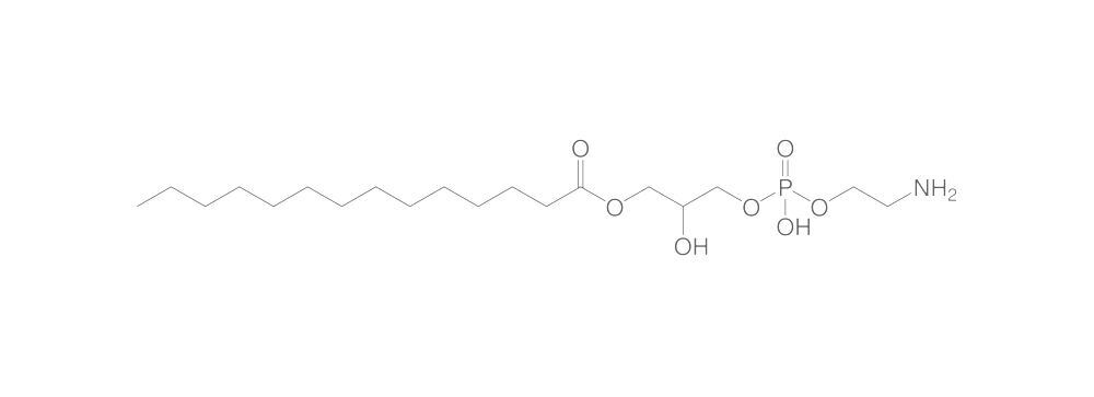 1-Myristoyl-rac-glycero-3-phosphoethanol, amine, 1 g - Luminix Health