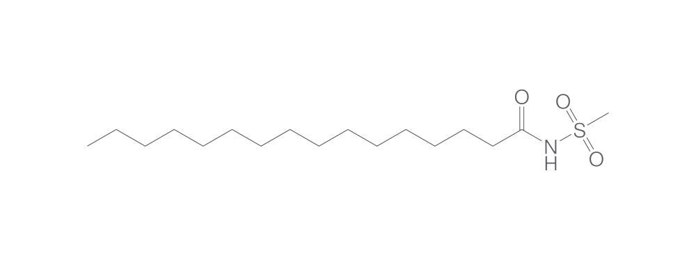 N-(Methylsulfonyl)palmitamide, min. 95 %, 25 mg - Luminix Health