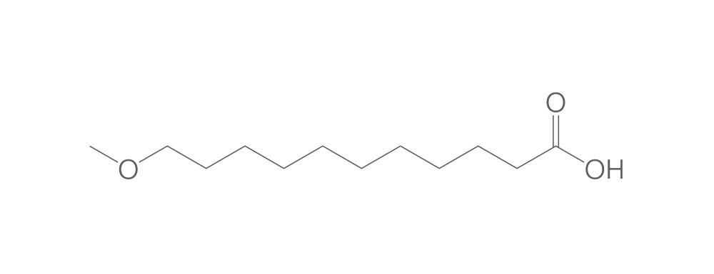 11-Methoxyundecanoic acid, min. 95 %, 25 mg - Luminix Health