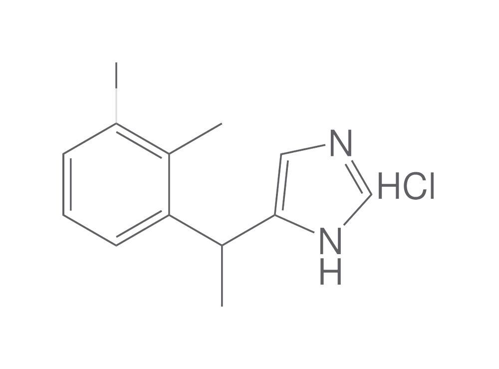 Medetomidine hydrochloride, 2 g - Luminix Health