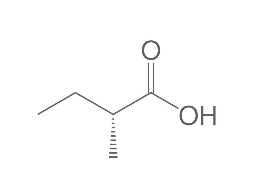 (R)-2-Methylbutyric acid, min. 95 %, 250 mg - Luminix Health