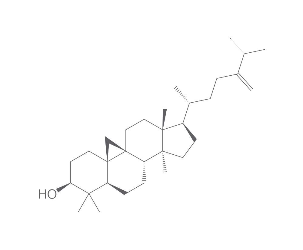 Image of 24-Methylenecycloartan-3-ol