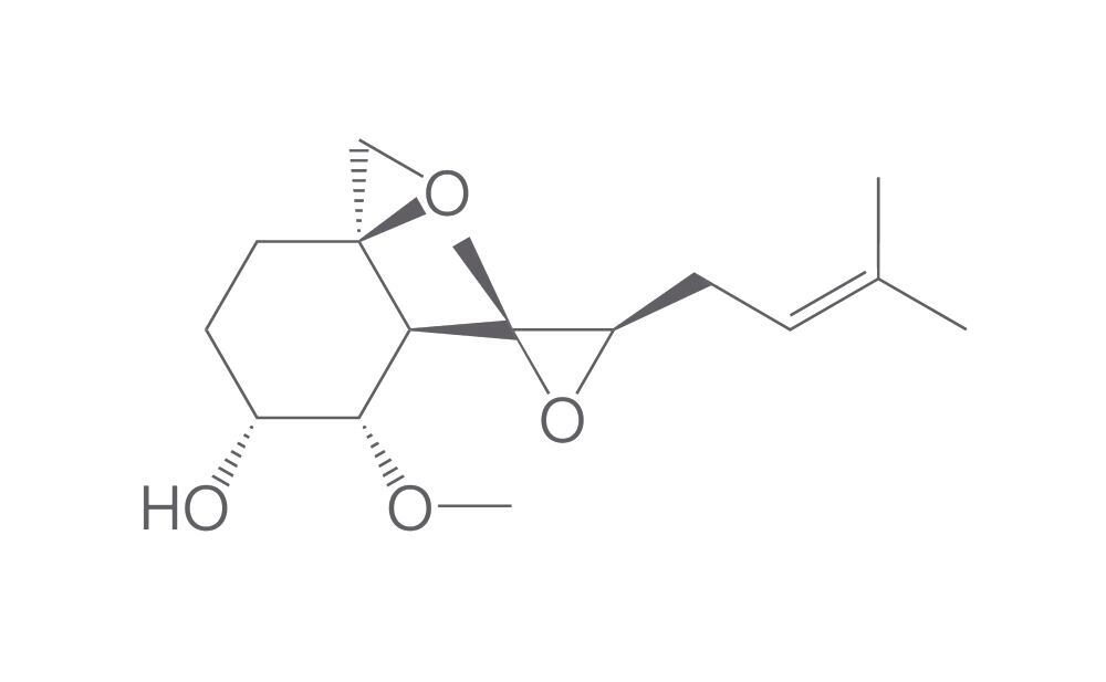 Fumagillol, min. 95 %, 50 mg - Luminix Health
