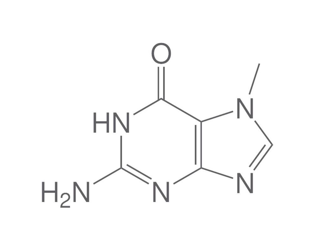 Image of 7-Methylguanine