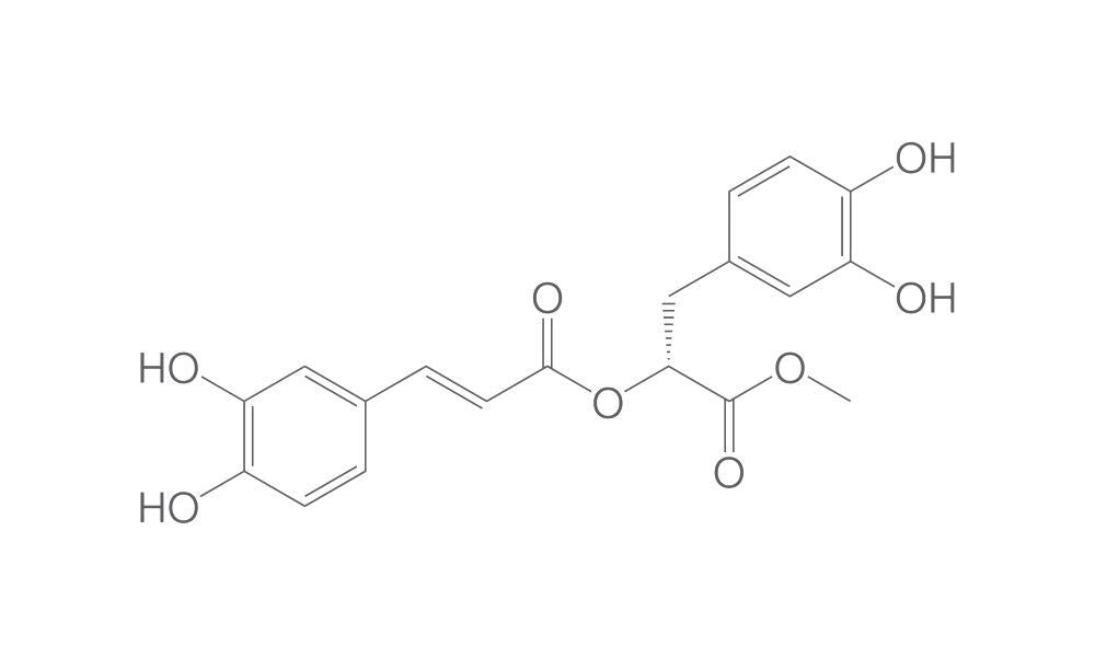 Methyl rosmarinate, 2 mg - Luminix Health