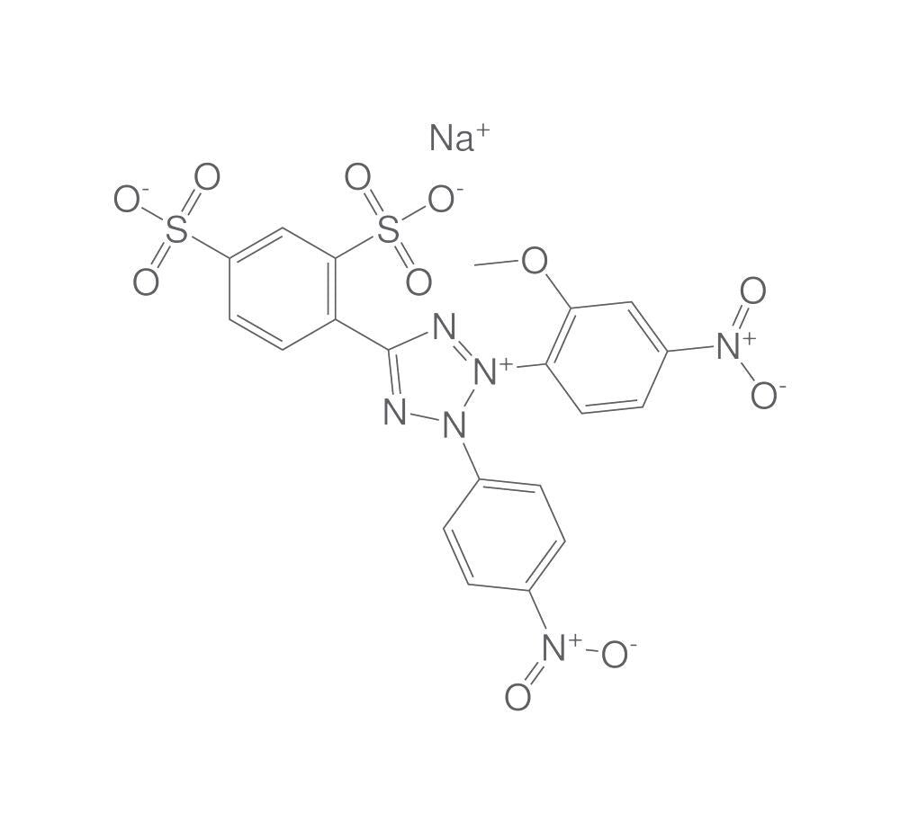 2-(2-Methoxy-4-nitrophenyl)-3-(4-nitrophenyl)-5-(2,4-disulfophenyl)-2H-tetraz... - Luminix Health
