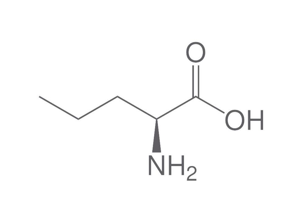 L-Norvaline, min. 95 %, 25 g - Luminix Health