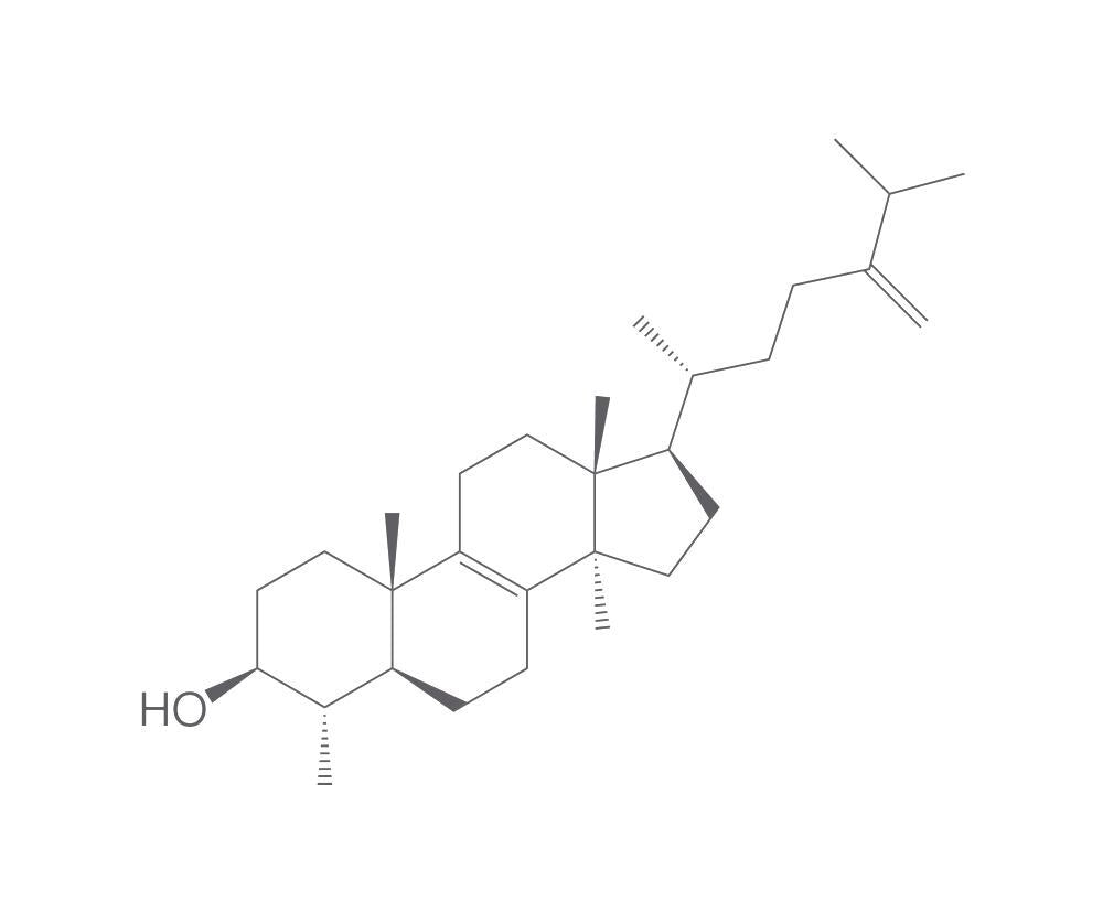 Obtusifoliol, 1 mg - Luminix Health