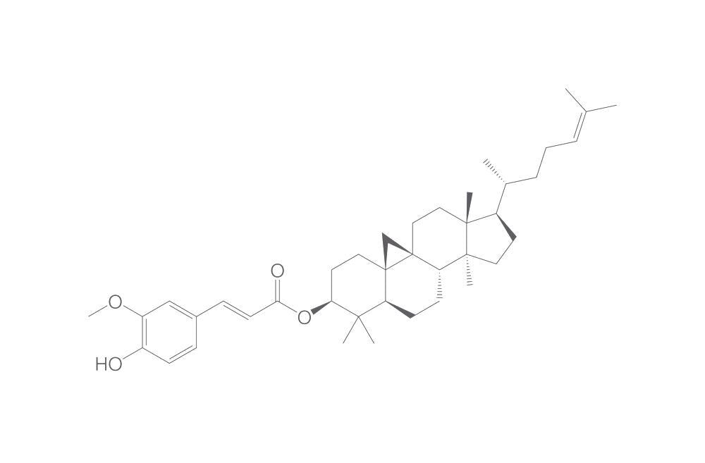 gamma-Oryzanol, min. 95 %, 250 g - Luminix Health