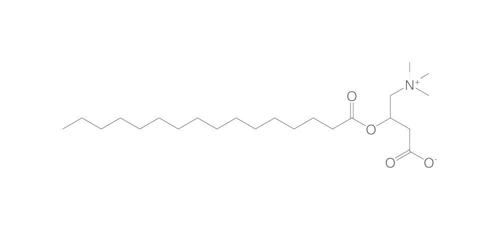 Palmitoyl-DL-carnitine, min. 95 %, 10 mg - Luminix Health