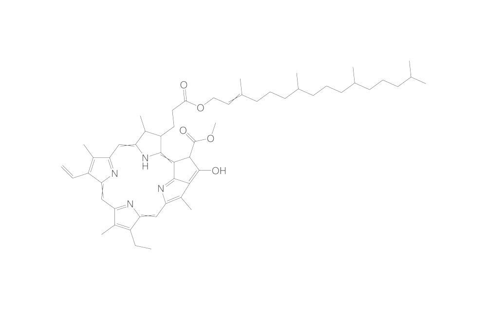 Pheophytin A, min. 70 %, 1 mg - Luminix Health