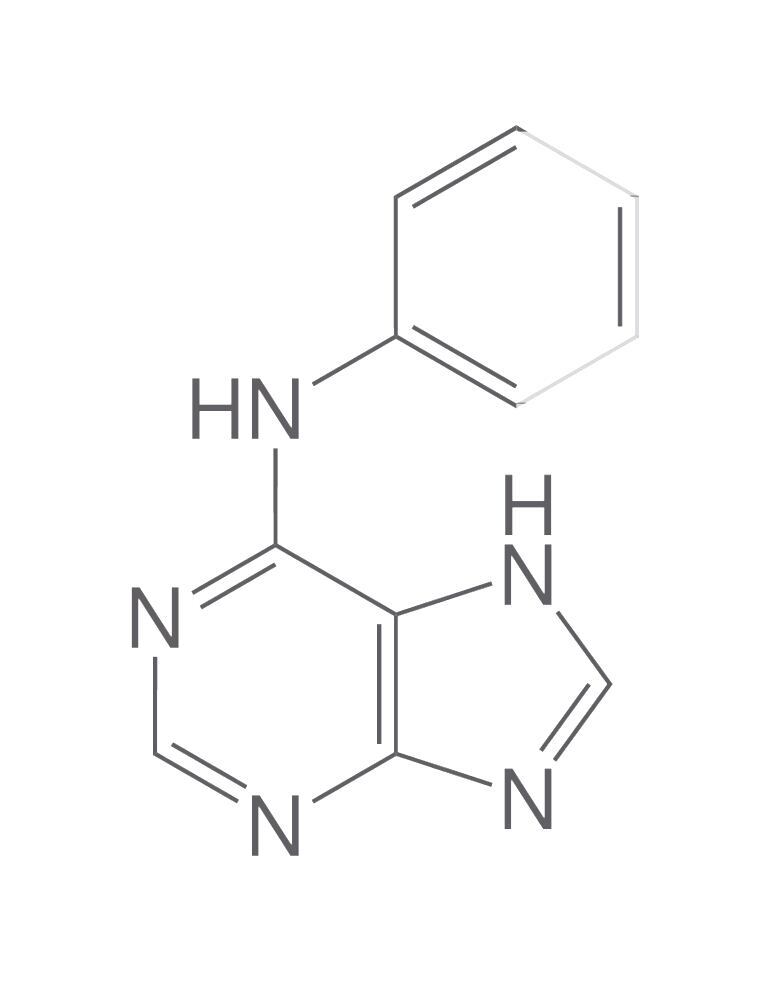 Phenyl(9H-purin-6-yl)amine, min. 95 %, 250 mg - Luminix Health
