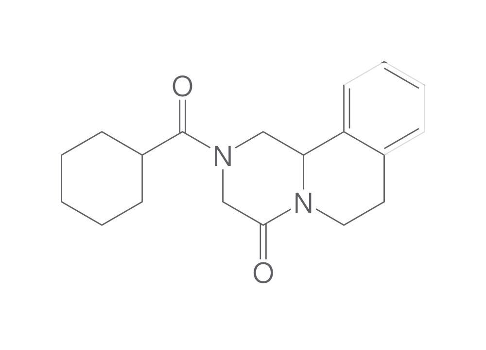 Praziquantel, min. 95 %, 250 g - Luminix Health