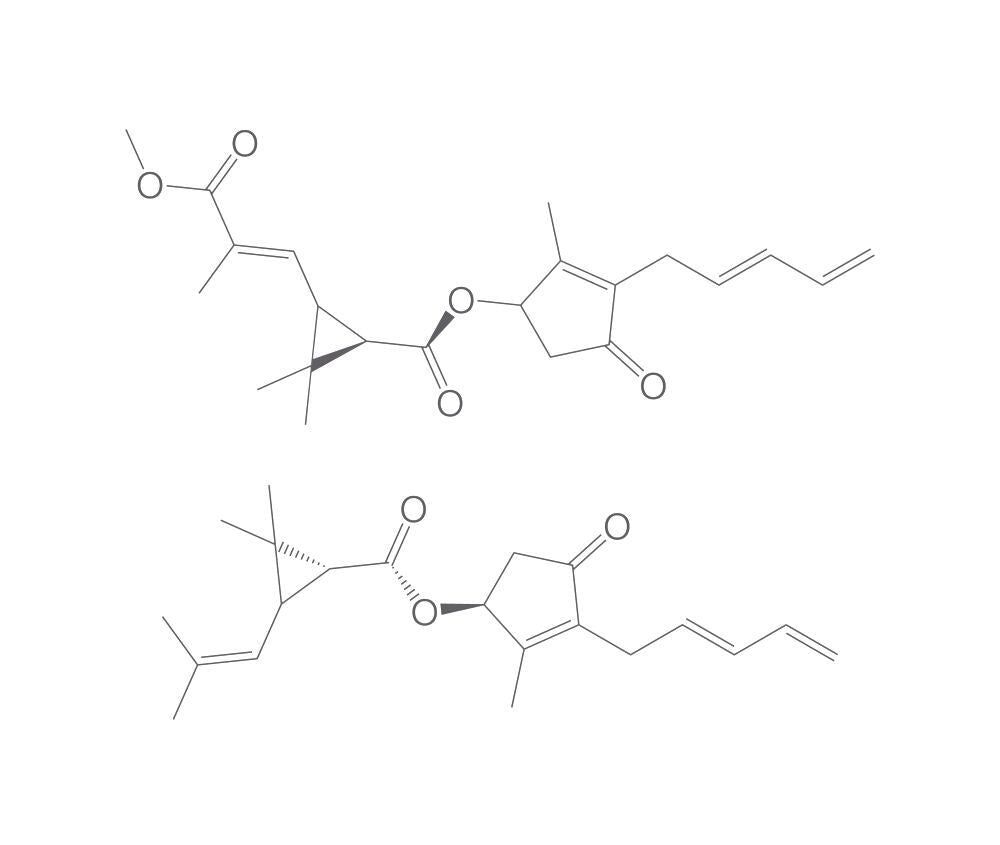 Pyrethrum-extract, min. 95 %, 50 g - Luminix Health