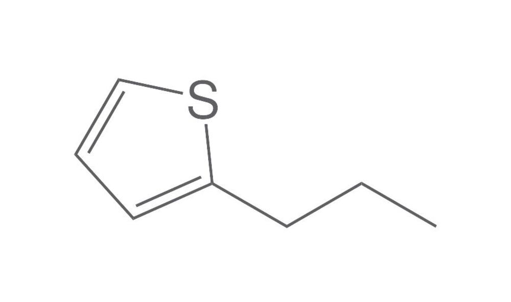 Image of 2-Propylthiophene