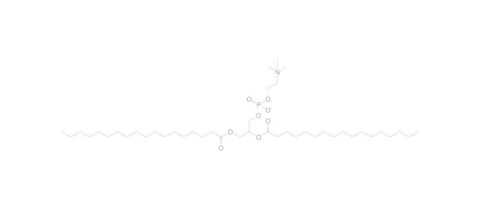 Image of L-α-Phosphatidylcholine distearoyl, min. 95 %, 1 g - Luminix Health