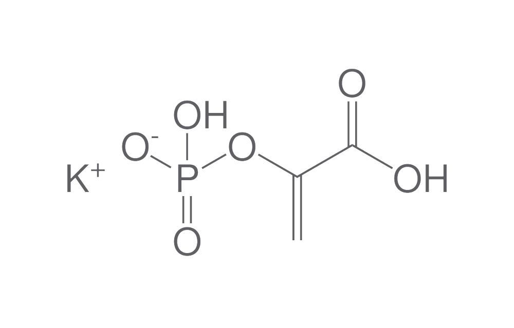Phosphoenolpyruvate potassium salt, 2 g - Luminix Health