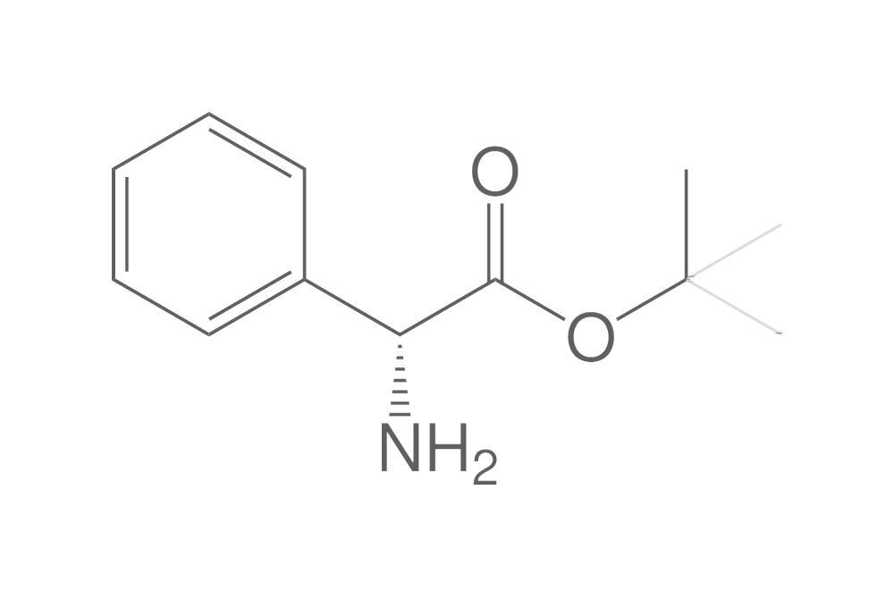 Image of D-Phenylglycine tert-butyl ester hydroch, loride, 1 g - Luminix Health