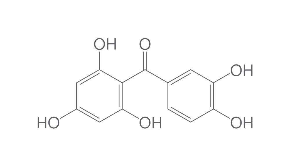 2,3',4,4',6-Pentahydroxybenzophenone, min. 95 %, 25 mg - Luminix Health