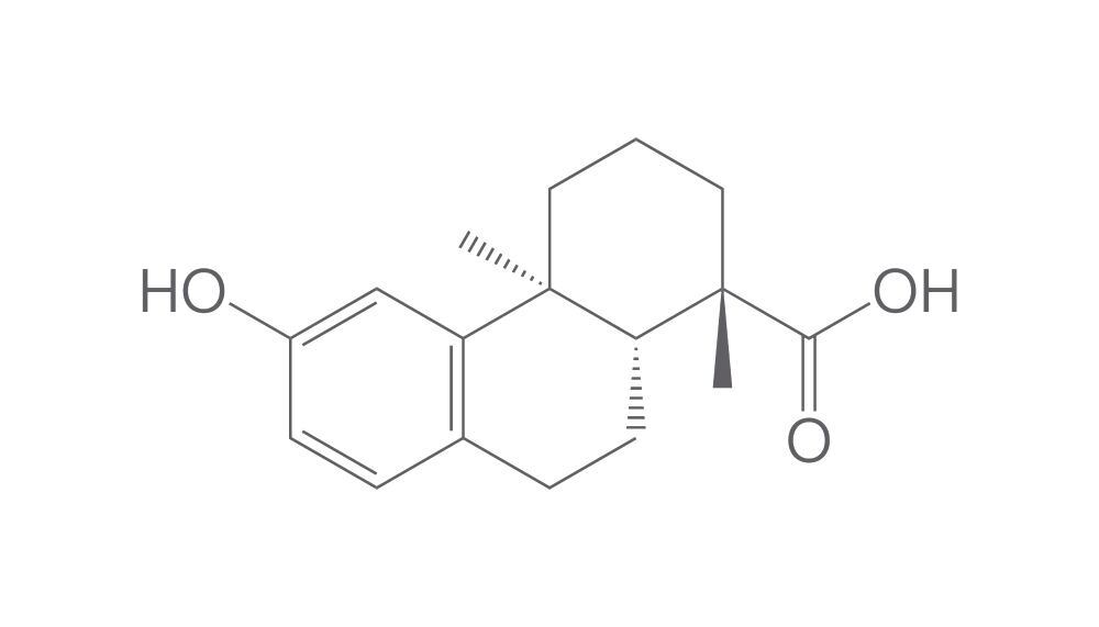 Podocarpic acid, min. 95 %, 250 mg - Luminix Health