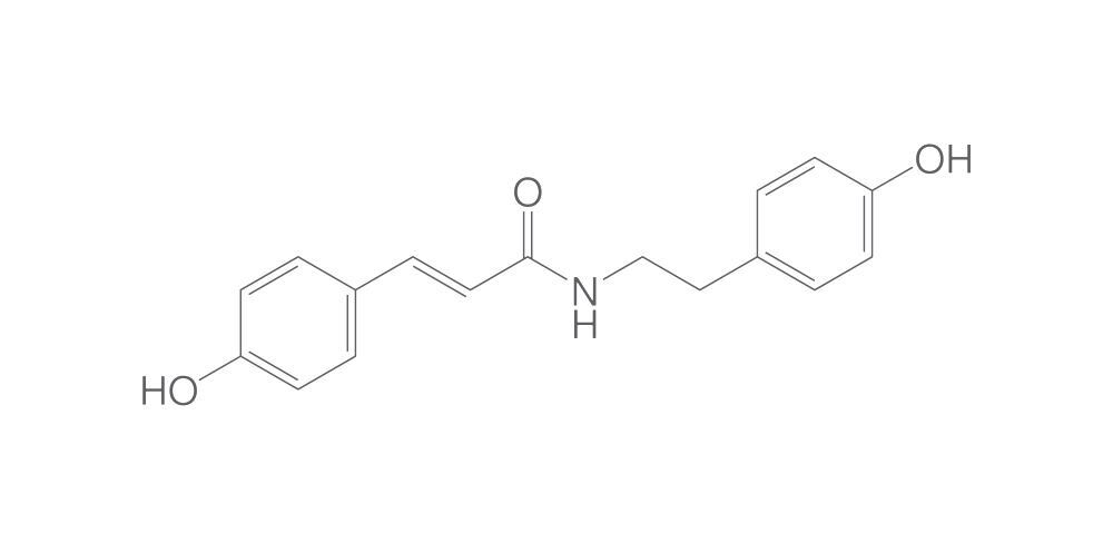 Paprazine, 2 mg - Luminix Health