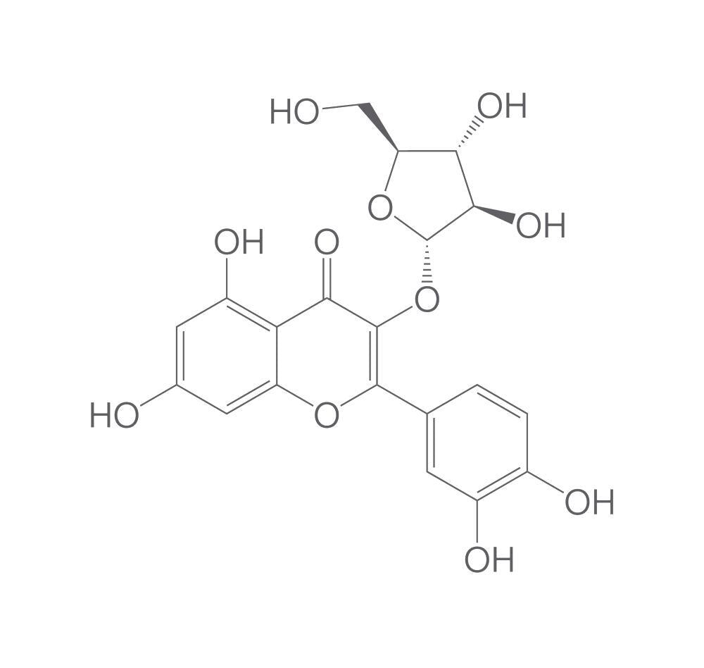 Quercetin-3-arabinoside, min. 95 %, 5 mg - Luminix Health