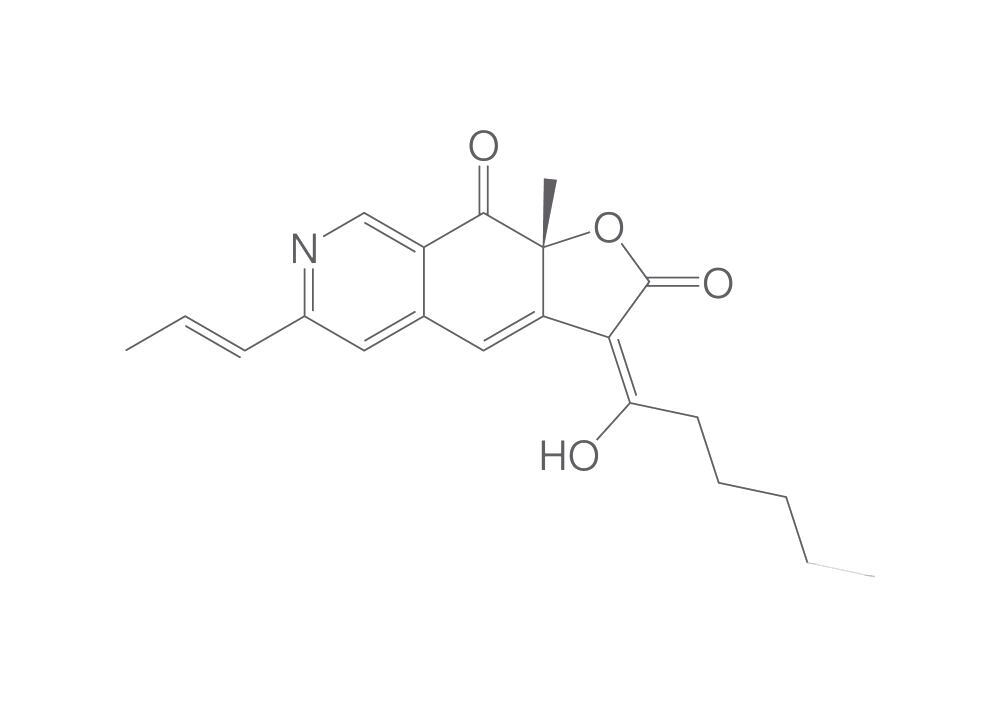 Rubropunctamine, min. 95 %, 1 mg - Luminix Health