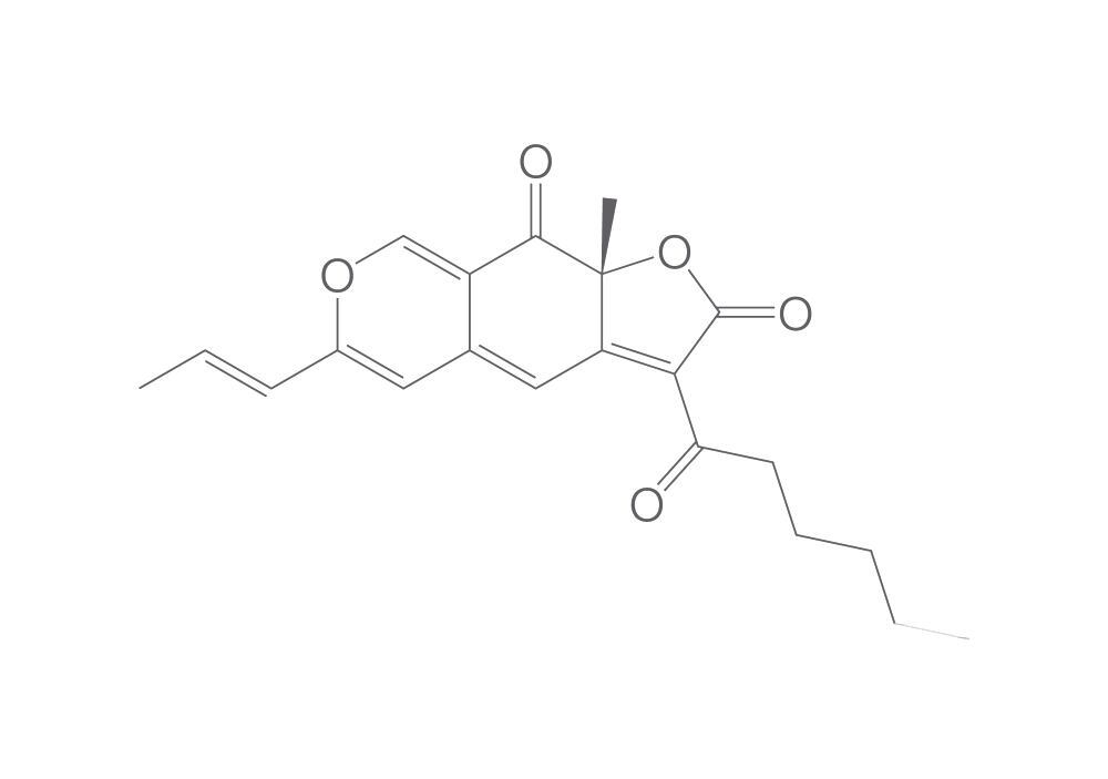 Rubropunctatin, min. 95 %, 1 mg - Luminix Health