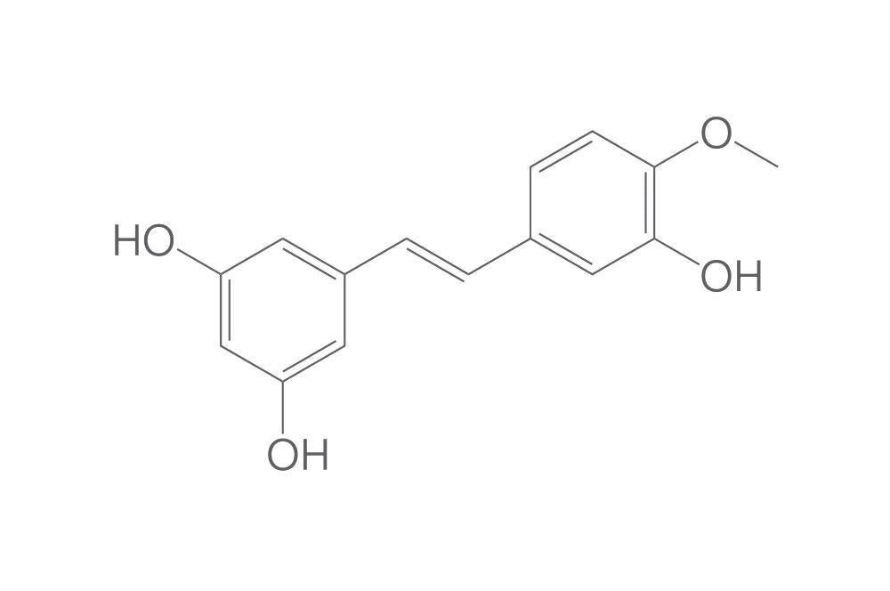 Rhapontigenin, min. 95 %, 5 mg - Luminix Health