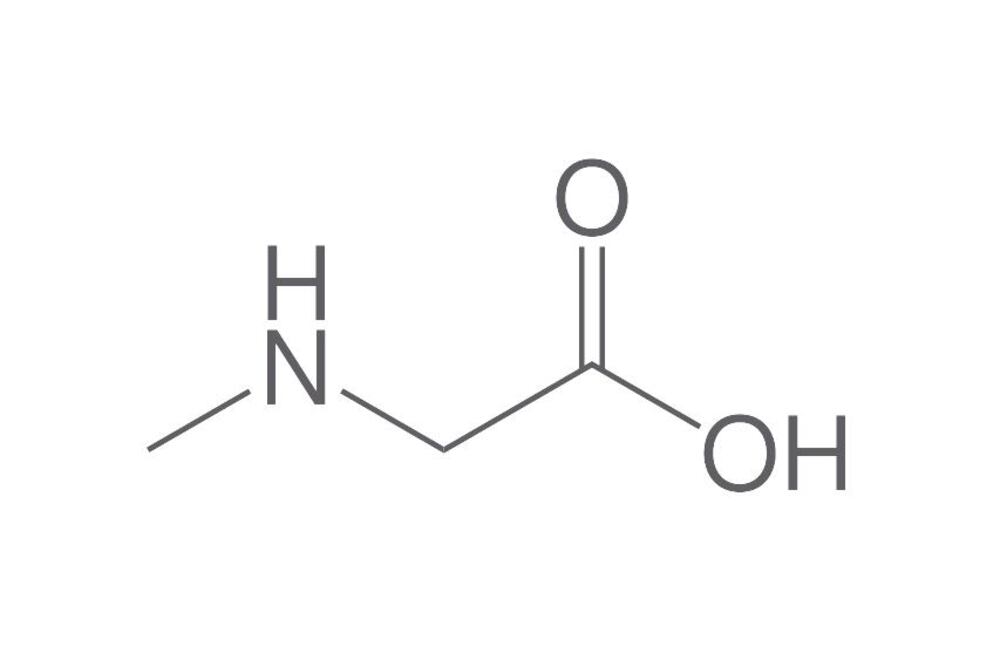 Sarcosine, 250 g - Luminix Health