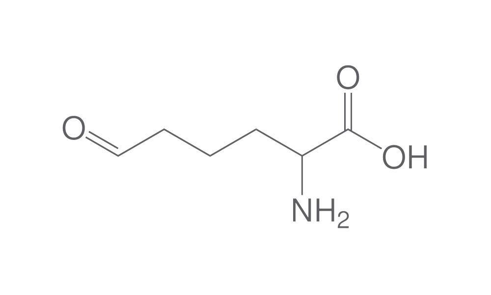 Image of 6-Oxo DL-norleucine, formate salt