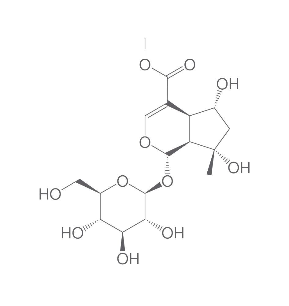 Shanzhiside methyl ester, min. 95 %, 2 mg - Luminix Health