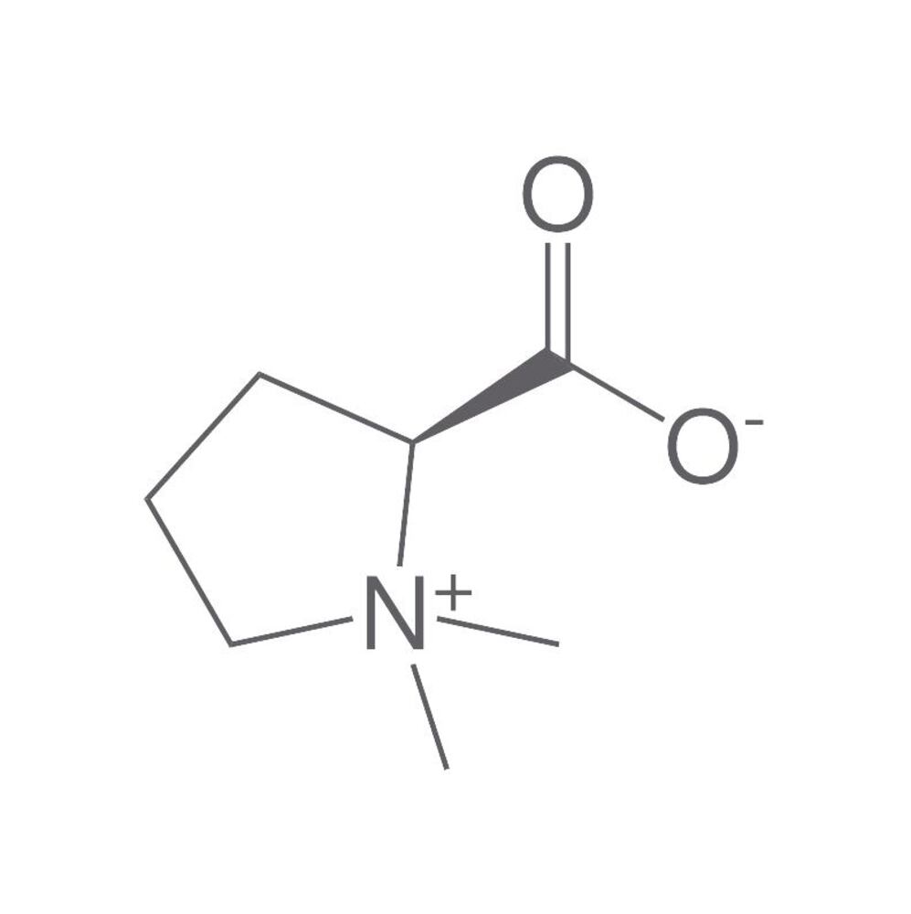 Stachydrine, min. 95 %, 500 mg - Luminix Health
