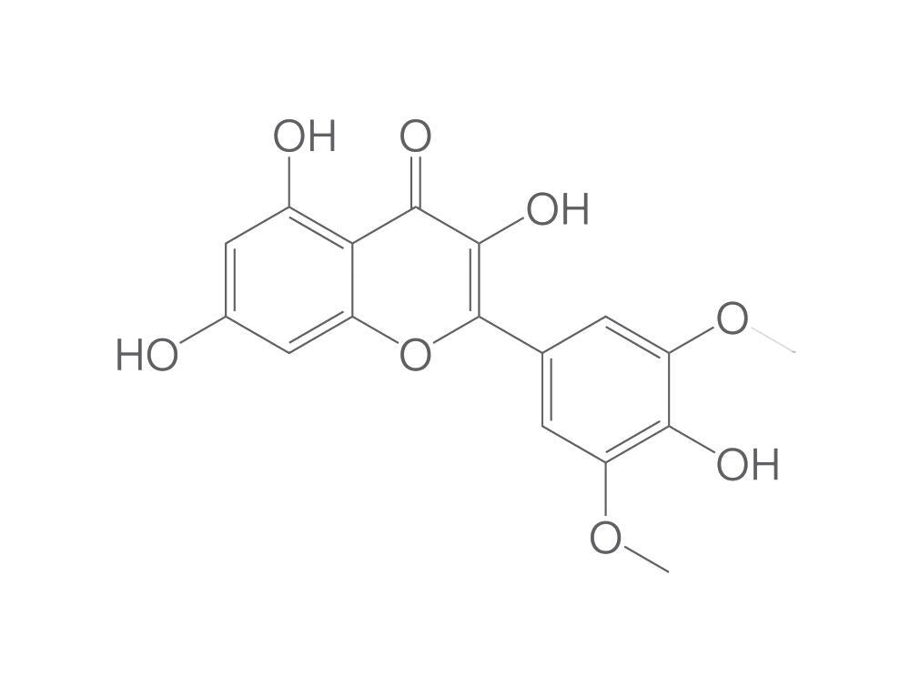 Syringetin, min. 95 %, 5 mg - Luminix Health