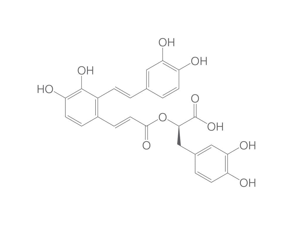 Salvianolic acid A, min. 95 %, 10 mg - Luminix Health