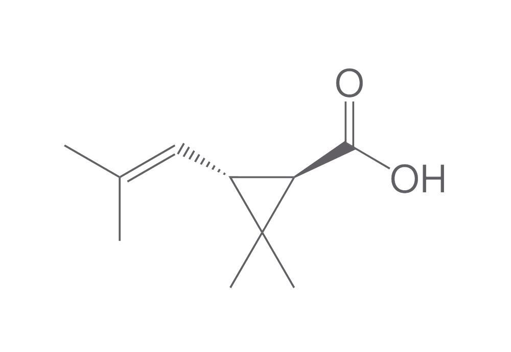 (+)-Trans-chrysanthemic acid, min. 95 %, 100 mg - Luminix Health