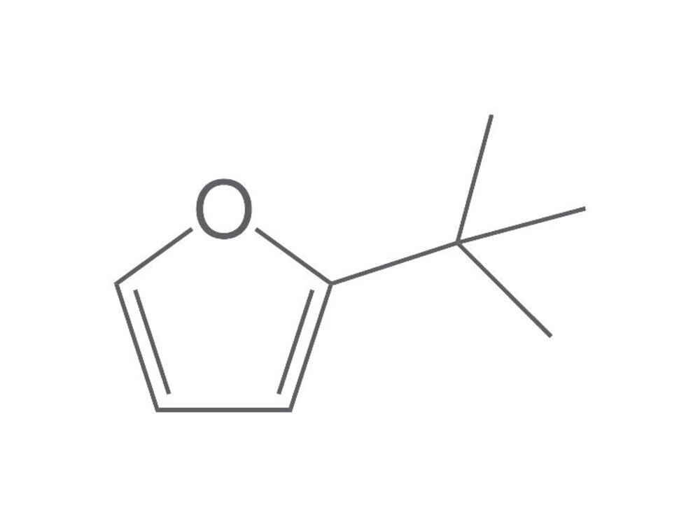 Image of 2-tert-butylfuran