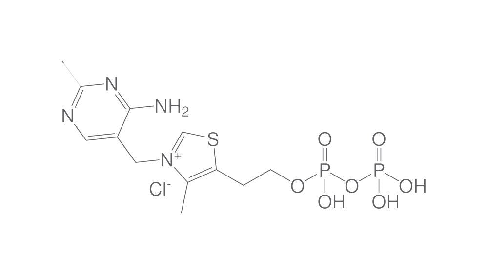 Thiamine pyrophosphate, 10 g - Luminix Health