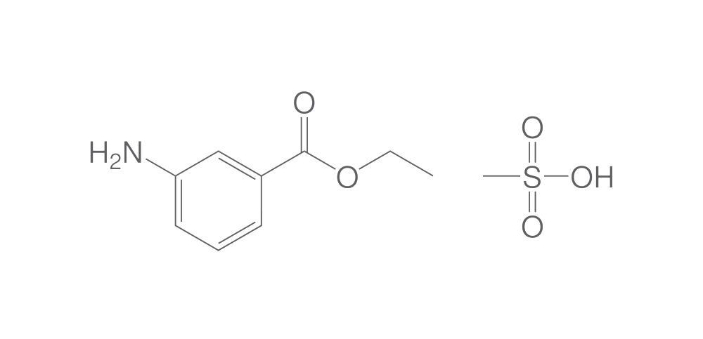 Tricaine methanesulfonate, 50 g - Luminix Health