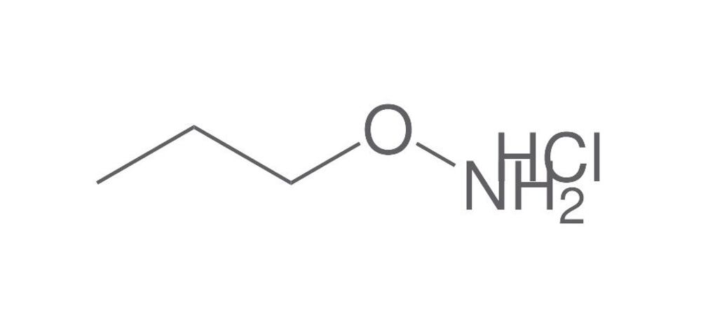 1-(Aminooxy)propane hydrochloride, min. 95 %, 250 mg - Luminix Health