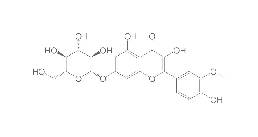 Isorhamnetin 7-o-glucoside, min. 95 %, 1 mg - Luminix Health
