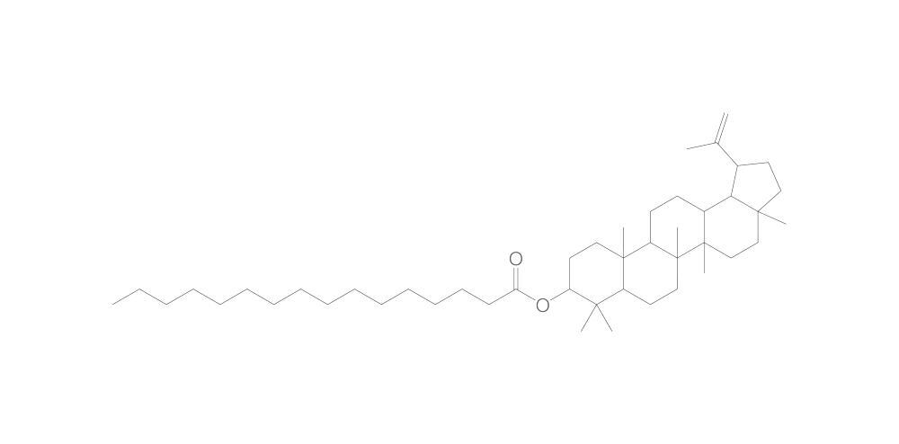 Lupeol palmitate, min. 95 %, 1 mg - Luminix Health