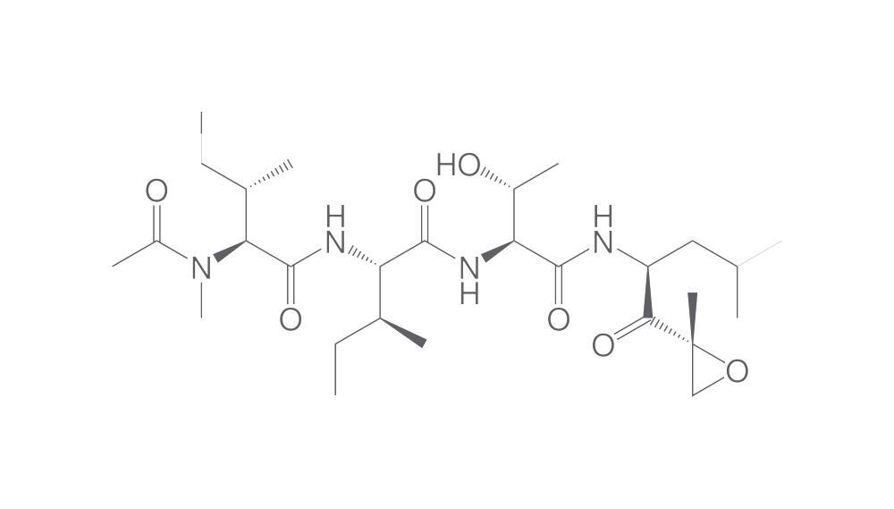 Epoxomicin, min. 95 %, 2 mg - Luminix Health