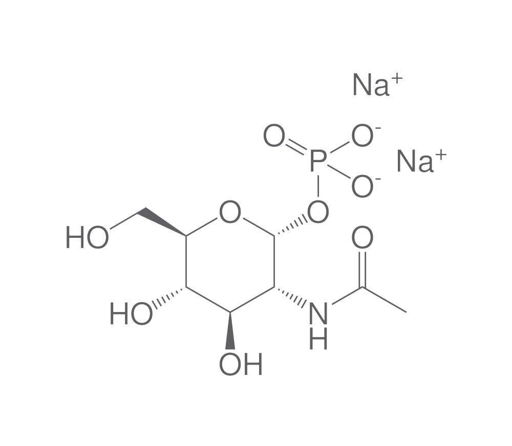 N-Acetyl-a-D-glucosamine-1-phosphate dis, odium salt, 5 mg - Luminix Health