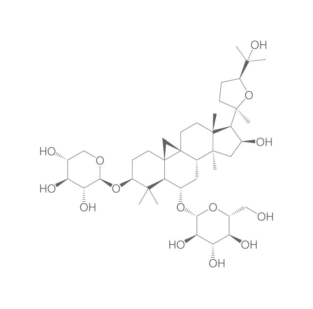 Astragaloside IV, min. 95 %, 1 g - Luminix Health