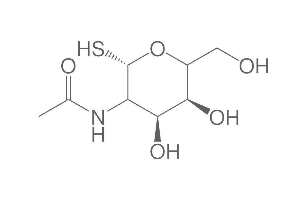 Image of 2-Acetamido-2-deoxy-b-D-thioglucopyranos